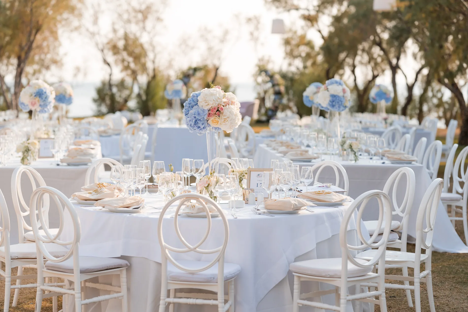 Clea & Leo wedding, frame 1