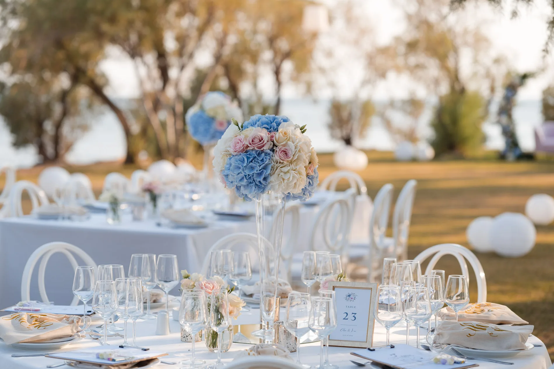 Clea & Leo wedding, frame 3