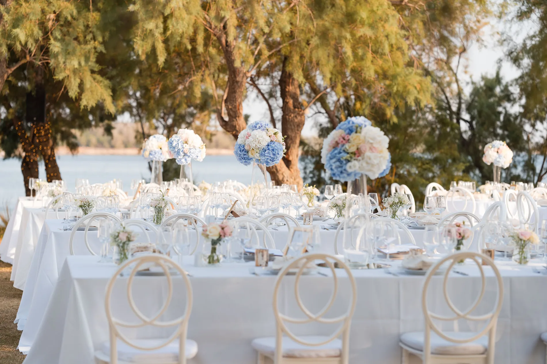 Clea & Leo wedding, frame 4