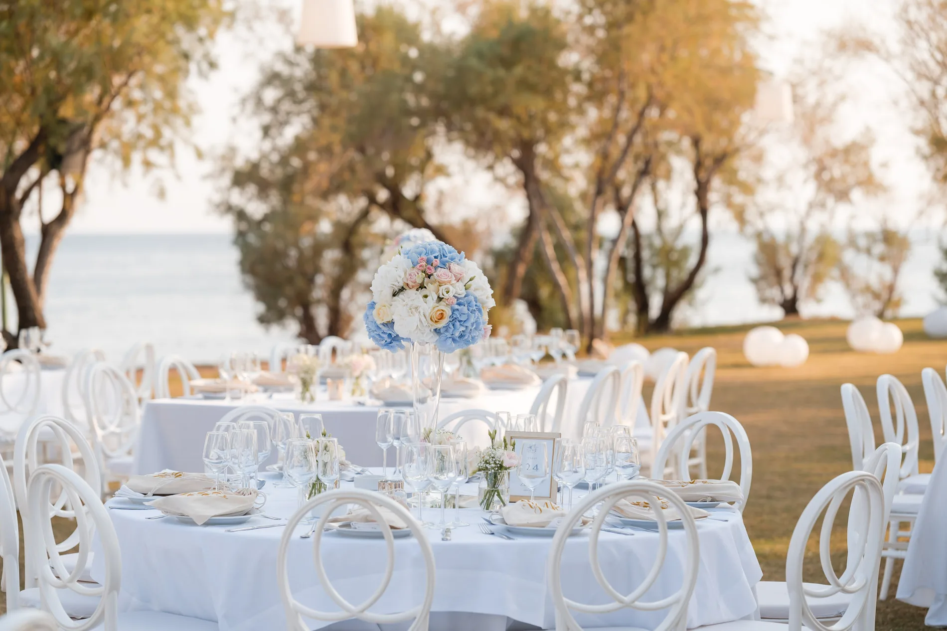 Clea & Leo wedding, frame 9