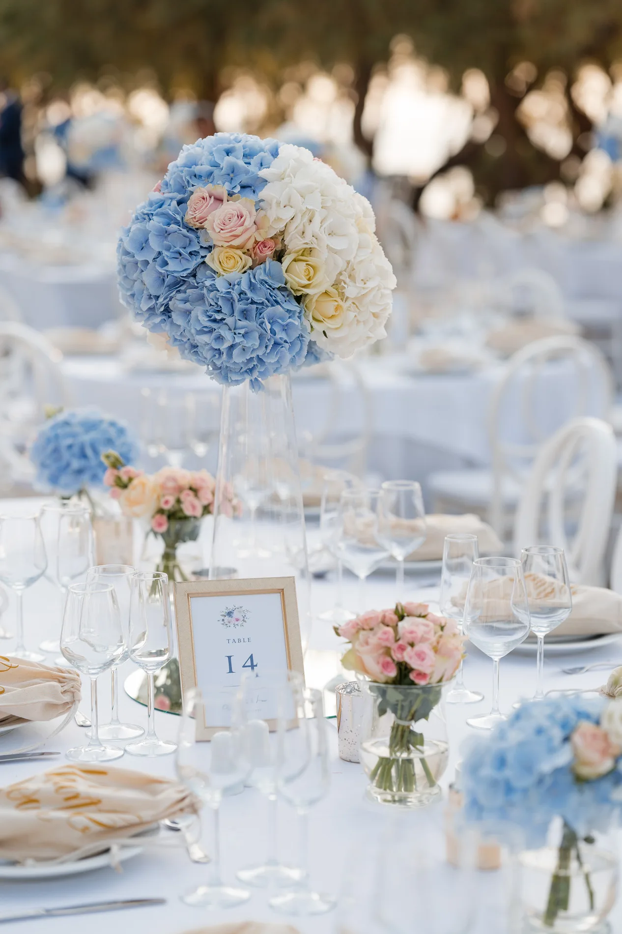 Clea & Leo wedding, frame 11