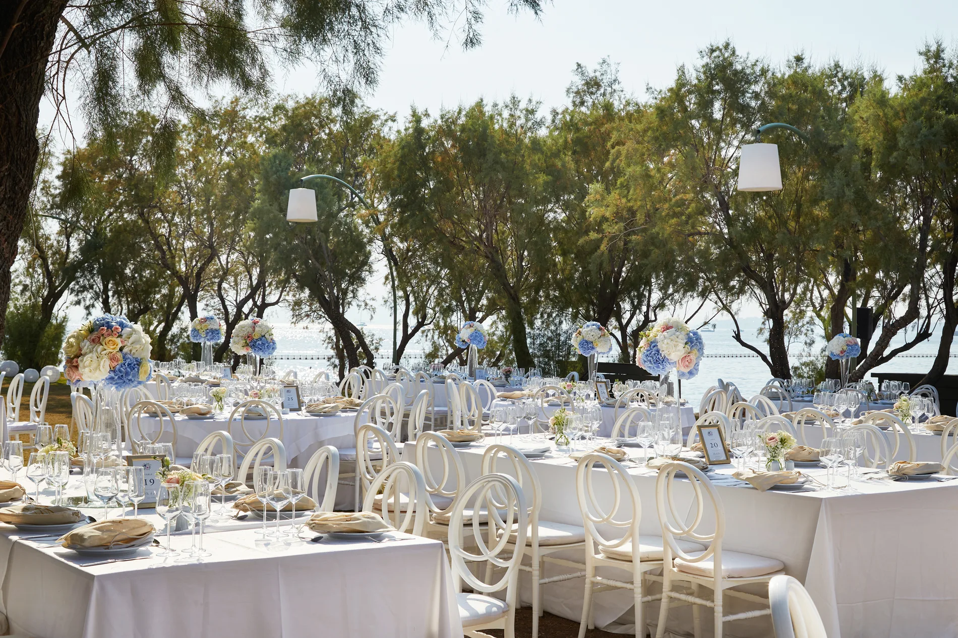 Clea & Leo wedding, frame 40
