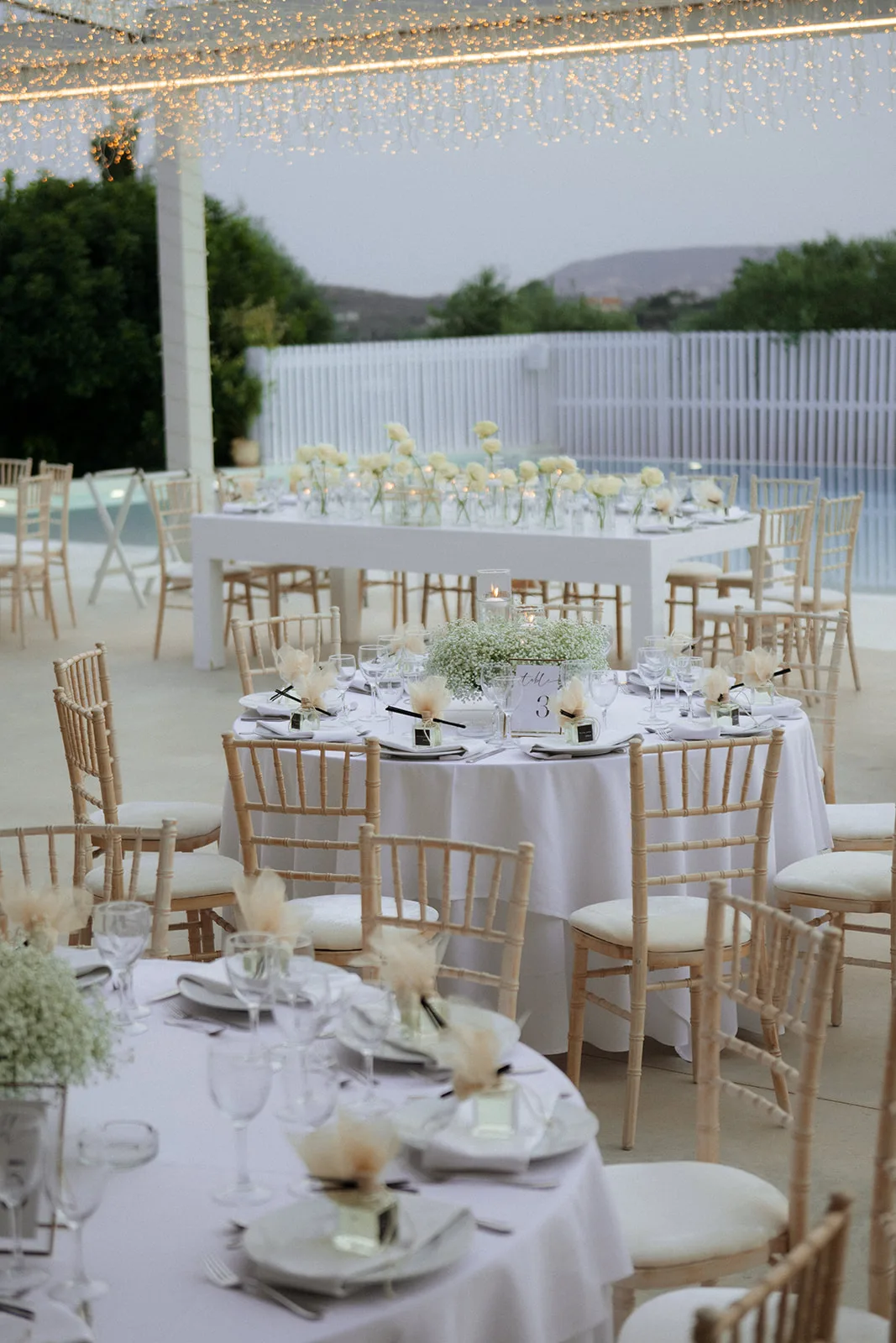 Gesthimani & Vassilis wedding, frame 68